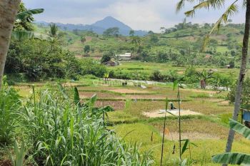 Tanah di jual bogor Ciherang pabuaran Sentul