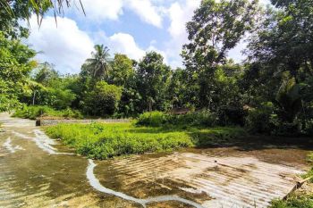 Tanah Murah Kulonprogo, Dekat Taman Nagung