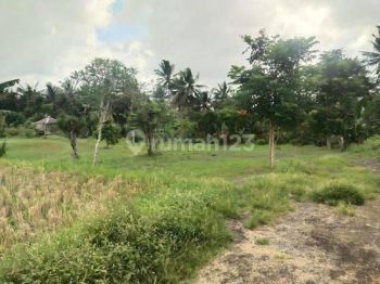 Tanah strategis ITR Pemukiman Lodtunduh Kertawangsa Ubud Gianyar