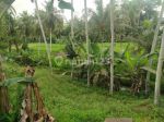 thumbnail-tanah-strategis-itr-pemukiman-lodtunduh-kertawangsa-ubud-gianyar-1