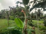 thumbnail-tanah-strategis-itr-pemukiman-lodtunduh-kertawangsa-ubud-gianyar-2