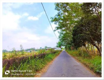 Dijual Murah Tanah Berbah, Sudah SHM-Pekarangan Harga Rendah 2 Juta-an