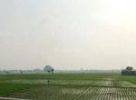 thumbnail-jual-tanah-sawah-mainroad-dekat-tol-soreang-bandung-2