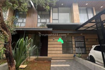 The Golden Stone Serpong Cluster Agate