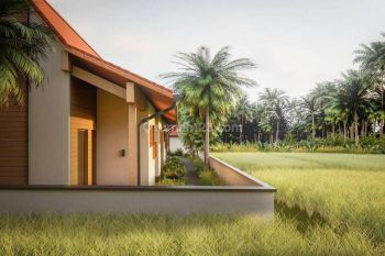 An Income Generator In The Ricefield Of Ubud