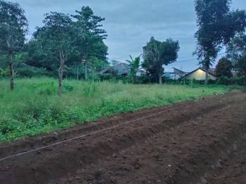 Jual Tanah Di Puncak Bogor Cisarua Citeko
