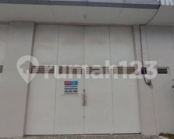 Baru gress, gudang Tritan point wedi sidoarjo