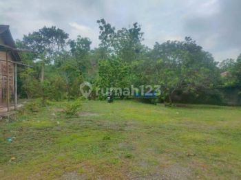 Tanah Kebun Durian Dan Alpukat di Kerjo Karanganyar