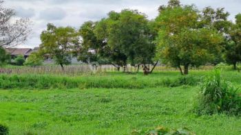 Tanah Murah Lokasi Strategis Siap Bangun Di Puspitek Raya Babakan Tangerang