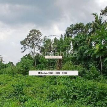 Tanah Kalasan SHM Pekarangan Dekat Pamela 7 Supermarket Aman