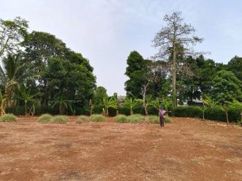 Tanah Darat/Kebun Asri