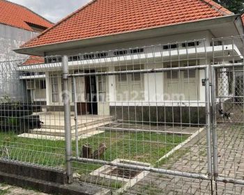 Rumab belanda terawat lompo batang daerah petemon