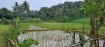 thumbnail-kavling-luas-bonus-rumah-area-mekarsari-bogor-cpa2531-13