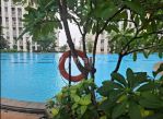 thumbnail-apartemen-full-furnished-disewakan-springlake-sumarecon-bagus-13