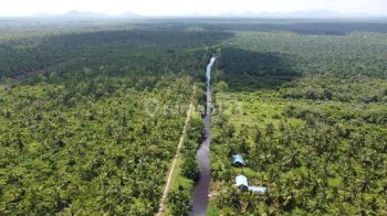 Dijual Cepat Tanah Peniti Sekadu Hilir Kalimatan Barat