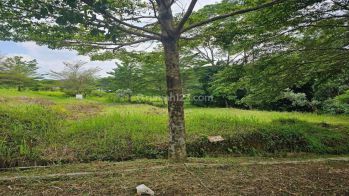Tanah Harga Dan Lokasi Terbaik Komplek Elite Bukit Cinere Indah
