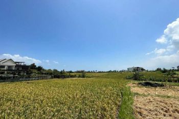 Tanah Dijual 2.5 Are View Sawah dan Pantai Cemagi