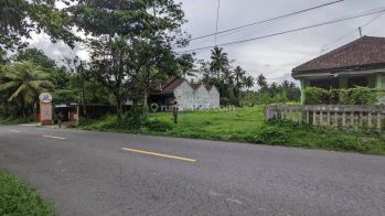 Kavling Murah Sleman, 1 Jutaan Dekat Jl. Magelang Jogja