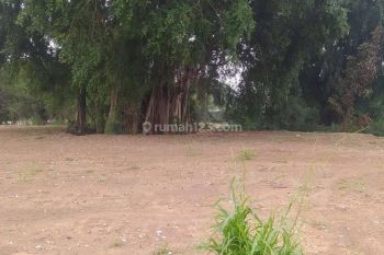 Tanah 12608 HGB Harga njop dan mogot