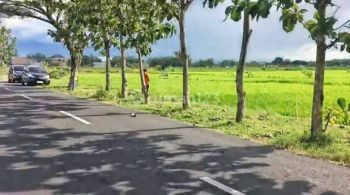 TANAH INDUSTRI SIAP BANGUN DI SRAGEN, JAWA TENGAH