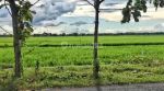 thumbnail-tanah-industri-siap-bangun-di-sragen-jawa-tengah-1