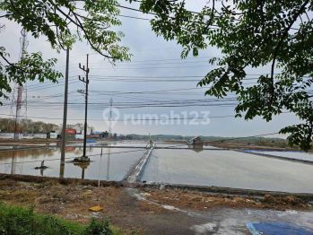 Tanah Lahan Industri Di Tambak Osowilangon Surabaya