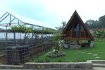 thumbnail-tanah-kavling-murah-view-mewah-di-puncak-dua-siap-bangun-villa-10