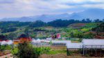 thumbnail-jual-tanah-murah-pinggir-jalan-akses-puncak2-3