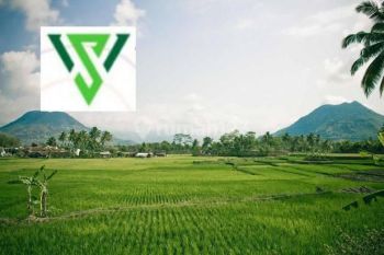 Tanah kavling murah 9jt/m raya Sambikerep raya Kuwukan