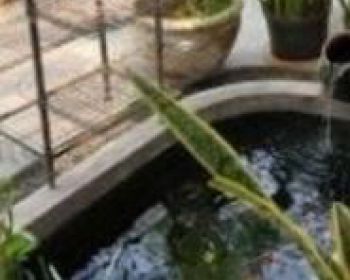 Dijual rumah semi furnished bagus dan asri