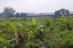 thumbnail-dijual-tanah-7000-m-jatake-kawasanjl-industri-raya-shm-harga-35-juta-m-nego-9