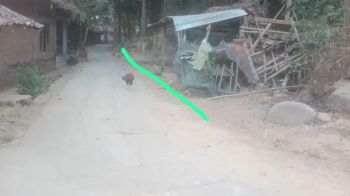 TANAH MURAH SIAP BALIK NAMA