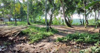 Tanah Darat 5.2 Ha Di  Cepat,