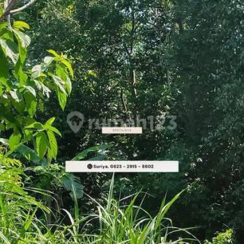 Dijual Tanah Jogja SHM Pekarangan Dekat Kopi Klotok Akses Mudah