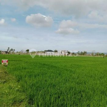 jual tanah untuk investasi di lampenerut