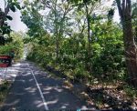 thumbnail-tanah-seberang-jalan-calonkampus-uin-2-luas-1284m2-lebar-20m-di-guwosari-5