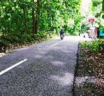 thumbnail-tanah-seberang-jalan-calonkampus-uin-2-luas-1284m2-lebar-20m-di-guwosari-9