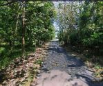 thumbnail-tanah-seberang-jalan-calonkampus-uin-2-luas-1284m2-lebar-20m-di-guwosari-6