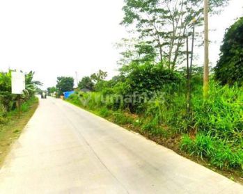 Tanah SHM 1458m Murah Hanya 2 Jt Dekat Pasar Cicangkal