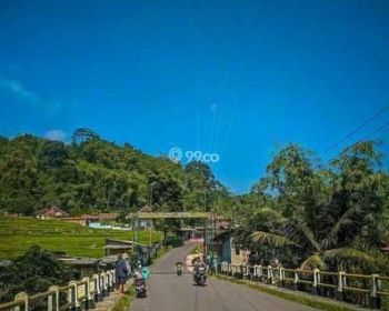 Di Juall Tanah Kebun Strategis Murah Cocok Buat Yayasan, pesantren, Villa, Dan