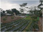 thumbnail-sewa-lahan-raya-pengasinan-depok-3