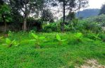 thumbnail-tanah-gunung-salak-endah-pamijahan-bogor-250rbmtr-akses-mobil-5