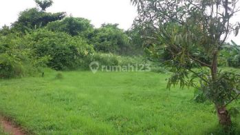 Jual Tanah Murah Karya Baru Timur Dkt Sekolah Pontianak Selatan