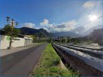 thumbnail-area-candi-borobudur-tanah-250-m2-cocok-untuk-villa-1