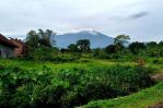 thumbnail-tanah-kavling-sumbersuko-asri-bersandingkan-industri-dan-view-pegunungan-4