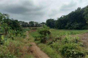 Disewakan Lahan Pertanian