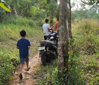 Tanah Kebun Nempel Pemukiman Dan Perumahan