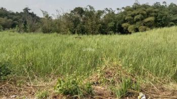 jual Tanah SHM Karangjati Tarub Tegal - Tanah Darat