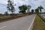 thumbnail-tanah-pinggir-jalan-sawangan-magelang-nego-5