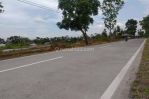 thumbnail-tanah-pinggir-jalan-sawangan-magelang-nego-4